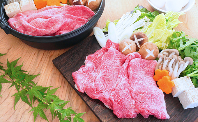 【飛騨牛】海津市産ウデしゃぶしゃぶすき焼き用スライス 【配達不可：離島】 お肉 牛肉 国産 岐阜県産 ブランド牛 鍋 牛鍋 肩 赤身 サシ 霜降り 濃厚 旨味 脂身が少ない ダイエット 肉じゃが 炒め物 