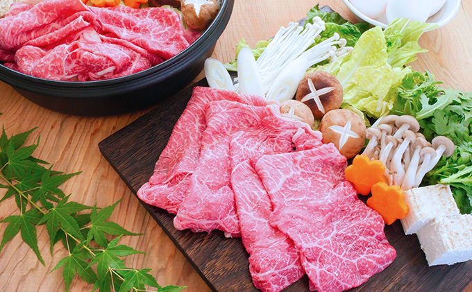 【飛騨牛】海津市産モモしゃぶしゃぶすき焼き用スライス 【配達不可：離島】 お肉 牛肉 鍋 牛鍋 もも肉 ブランド牛 赤身 適度なサシ 霜降り 濃厚 旨味 脂身が少ない 肉じゃが 炒め物 ダイエット 岐阜県産 国産 