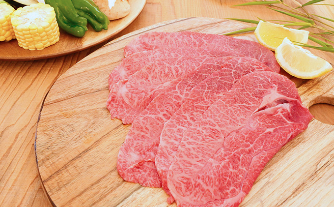 【数量限定】【飛騨牛】海津市産ミスジ焼肉オリジナルカット 【配達不可：離島】 お肉 牛肉 焼肉用 バーベキュー 国産 ブランド牛 岐阜県産 希少部位 柔らかい サシ 霜降り 口どけが良い 脂 バランス おうち焼肉 