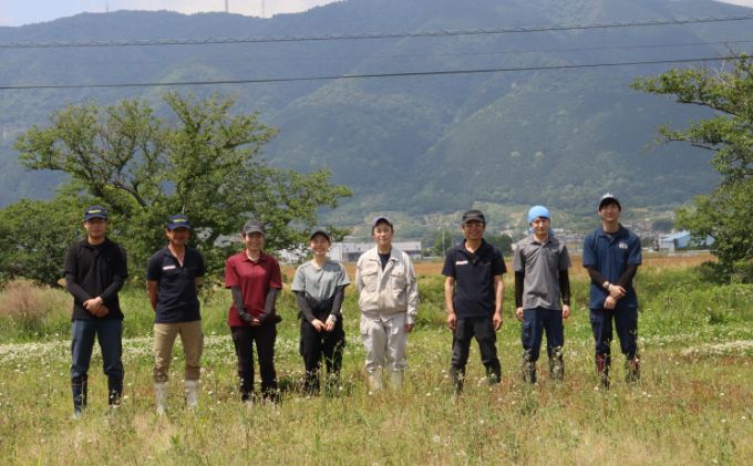 【飛騨牛】海津市産ヒレステーキ150g×3 【配達不可：離島】 お肉 牛肉 ステーキ用 国産 岐阜県産 ブランド牛 夕飯 記念日 ディナー 希少部位 贅沢 赤身 柔らかい 濃厚 旨味 