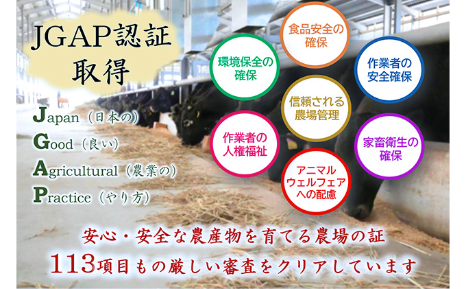 【飛騨牛】海津市産ウデ焼肉オリジナルカット 【配達不可：離島】 お肉 牛肉 焼肉用 バーベキュー ブランド牛 国産 岐阜県産 肩 赤身 サシ 霜降り 濃厚 旨味 脂身が少ない ダイエット おうち焼肉 