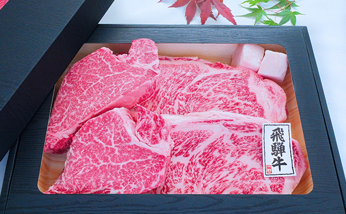 【数量限定】【飛騨牛】海津市産ステーキプレミアムセット 【配達不可：離島】 お肉 牛肉 ステーキ用 国産 岐阜県産 ブランド牛 夕飯 記念日 ディナー 希少部位 赤身 とろける 柔らかい サシ 霜降り ボリューミー 