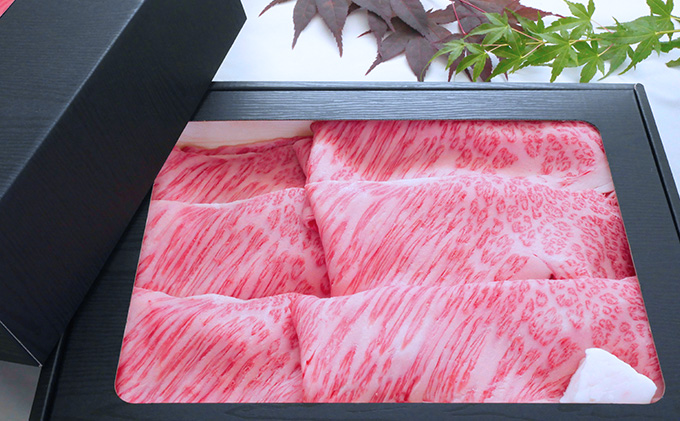 【飛騨牛】海津市産ロースしゃぶしゃぶすき焼き用スライス 【配達不可：離島】 お肉 牛肉 国産 岐阜県産 ブランド牛 柔らかい サシ 霜降り とろける 甘い脂 旨味 肉じゃが 炒め物 