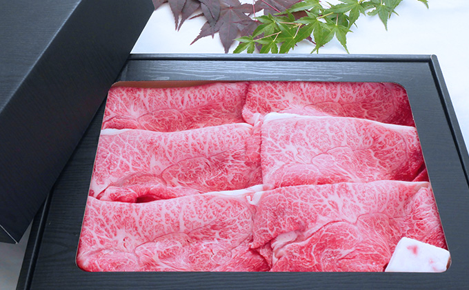 【飛騨牛】海津市産ウデしゃぶしゃぶすき焼き用スライス 【配達不可：離島】 お肉 牛肉 国産 岐阜県産 ブランド牛 鍋 牛鍋 肩 赤身 サシ 霜降り 濃厚 旨味 脂身が少ない ダイエット 肉じゃが 炒め物 