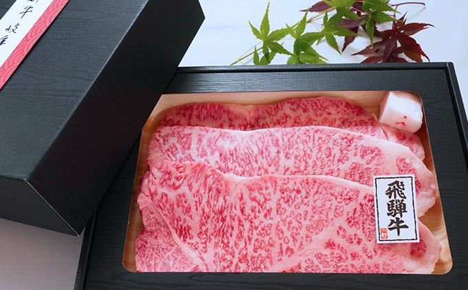 【飛騨牛】海津市産ロースステーキ250g×3 【配達不可：離島】 お肉 牛肉 ステーキ用 国産 岐阜県産 ブランド牛 夕飯 記念日 ディナー 柔らかい サシ 霜降り ボリューミー とろける 旨味 