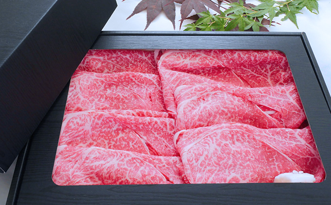 【飛騨牛】海津市産モモしゃぶしゃぶすき焼き用スライス 【配達不可：離島】 お肉 牛肉 鍋 牛鍋 もも肉 ブランド牛 赤身 適度なサシ 霜降り 濃厚 旨味 脂身が少ない 肉じゃが 炒め物 ダイエット 岐阜県産 国産 