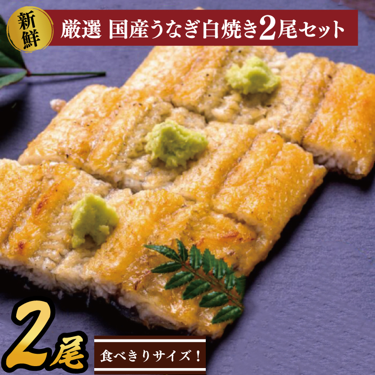 茨城県行方市のふるさと納税 食べ切りサイズ！国内産うなぎの白焼(酒蒸し)100～120g 2尾　計200g以上|うなぎ 鰻 白焼 酒蒸し 食べ切り 茨城県 行方市（AD-130-3）