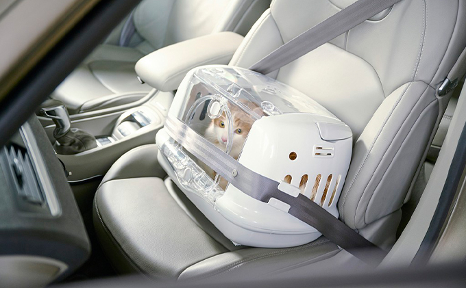 ペットハウス&キャリー アイボリー P-HC480 アイリスオーヤマ ペット用品 ペットグッズ ペットキャリーバッグ 猫 小型犬 おうち 出し入れラク 車 移動 シートベルト固定 給水ボトル 