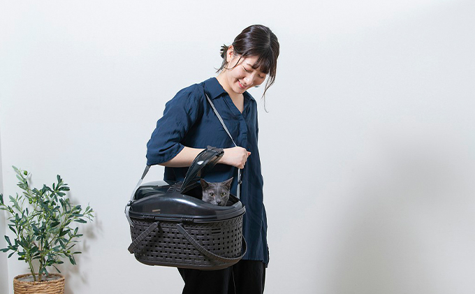 メッシュペットキャリー ブラウン MPC-450 アイリスオーヤマ ペット用品 ペットグッズ ペットキャリーバッグ 猫 小型犬 小動物 お出かけ 病院 ショルダーベルト付き 