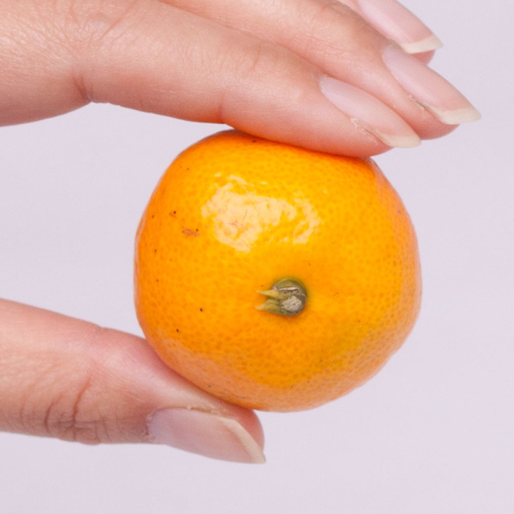 家庭用 小玉な有田みかん5kg+250g（傷み補償分）【わけあり・訳あり】【光センサー選果】 ※北海道・沖縄・離島への配送不可 ※2025年11月上旬～2026年1月下旬頃に順次発送予定