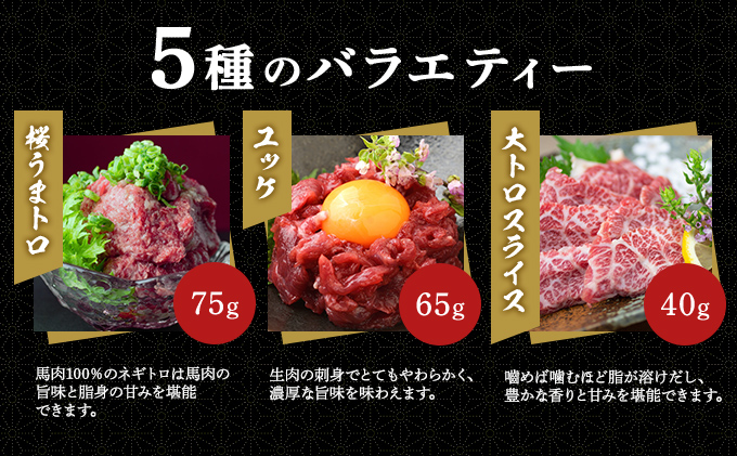 熊本県錦町のふるさと納税 馬刺し 熊本  赤身 ユッケ 霜降り 鮮馬刺し スライス 5種 バラエティーセット 食べ比べ 馬刺 馬肉 肉 お肉 冷凍