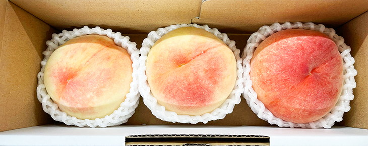 秀品 紀州和歌山産の桃 3玉 化粧箱入 ｜ もも モモ 桃 国産 フルーツ 果物 果実 産地直送 お取り寄せ ギフト デザート スイーツ 贈り物 ※2026年6月下旬～8月上旬頃に順次発送予定