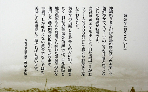 黄金芋スイーツセット【いもぽき&フィナンシェ】