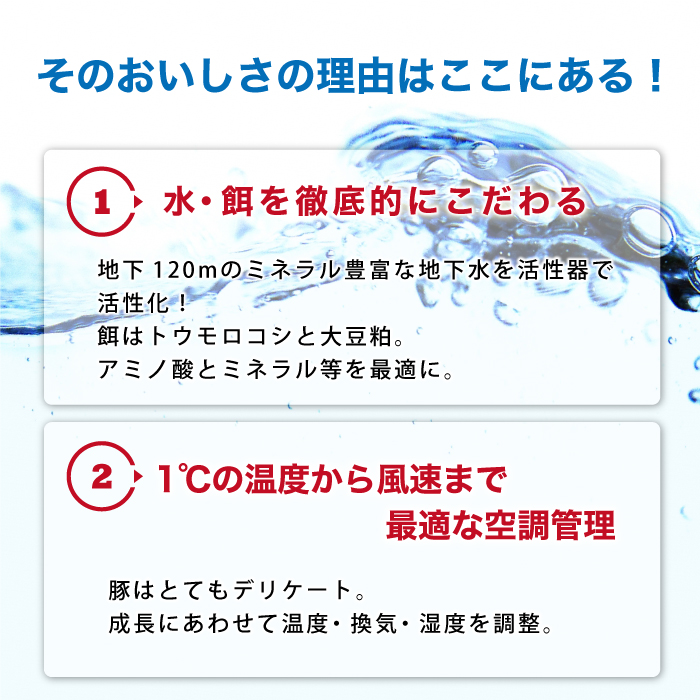島根県邑南町のふるさと納税 豚肉　石見ポーク しゃぶしゃぶセット1.6kg（ロースしゃぶしゃぶ用300g×1バラしゃぶしゃぶ用300g×1小間切れ500g×2）