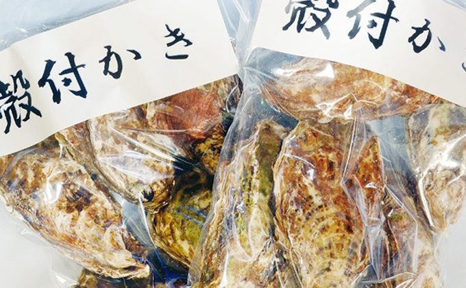 【岡山県瀬戸内市】牡蠣 2026年 先行予約 殻付き牡蠣 レンジでチン セット 5個入×2袋 山銀商店 瀬戸内海虫明湾産 魚介類 カキ かき シーフード