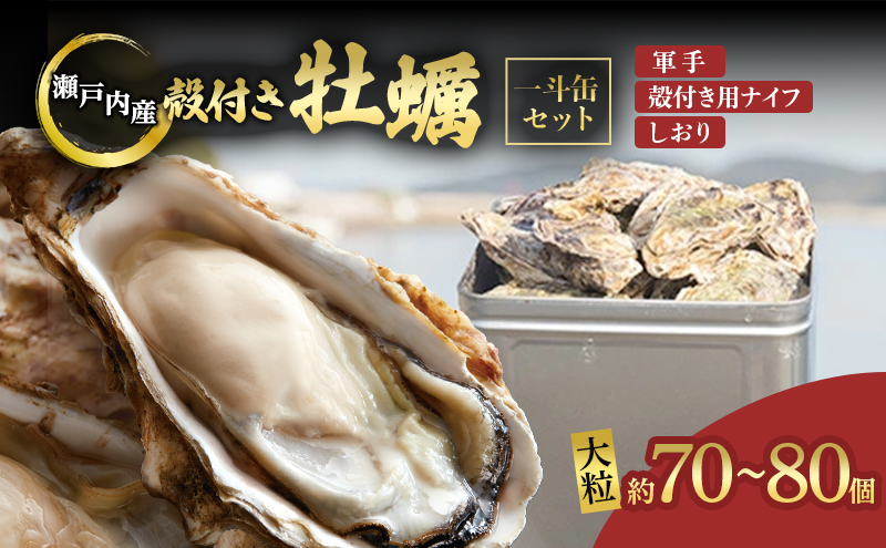 yR˓szy 2026N s\ kty  l i  70`80j  R⏤X ˓CpY y   JL R iCtt Mp