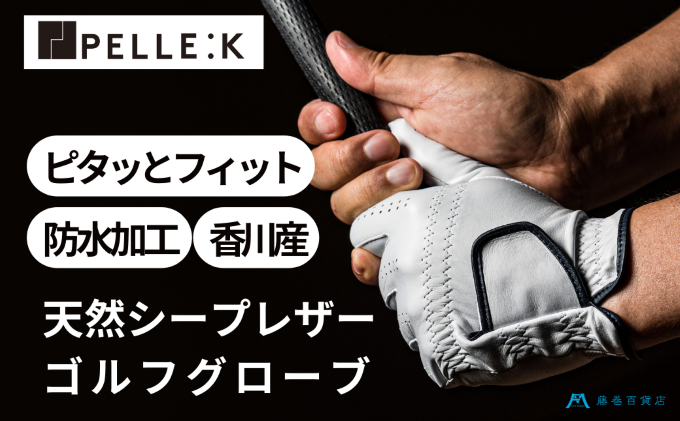 y쌧szyKURODAzSݓXʒStO[uiSV^j t@bV