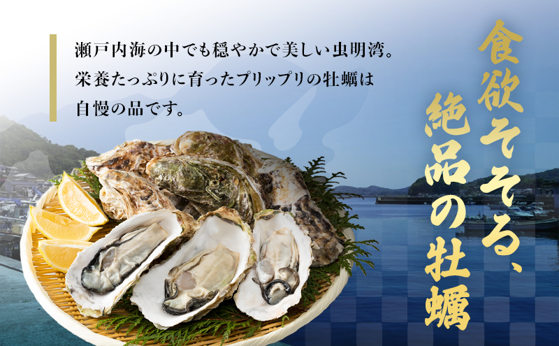 岡山県瀬戸内市のふるさと納税 牡蠣 2026年 先行予約 かんかん焼 （ 殻付き 大つぶ牡蠣 20個） 山銀商店 瀬戸内海虫明湾産 大粒 生牡蠣 かき 魚介類 カキ かんかん焼き 軍手 ナイフ付き 加熱調理用