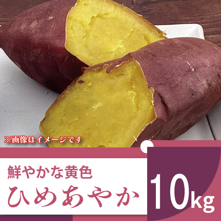 【2025年11月より順次発送】2025年度産 鮮やかな黄色のさつまいも ひめあやか 約10kg｜さつまいも サツマイモ さつま芋 芋 お芋 ひめあやか 先行予約 渋谷農園 人気 送料無料 茨城県 行方市(BZ-5)