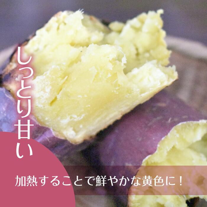 【2025年11月より順次発送】2025年度産 鮮やかな黄色のさつまいも ひめあやか 約10kg｜さつまいも サツマイモ さつま芋 芋 お芋 ひめあやか 先行予約 渋谷農園 人気 送料無料 茨城県 行方市(BZ-5)