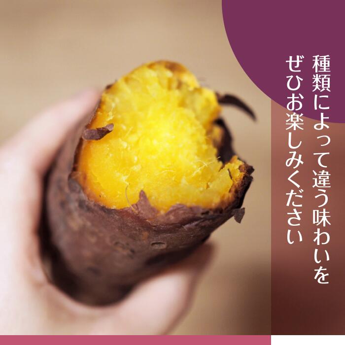 茨城県行方市のふるさと納税 【2025年11月より順次発送】2025年度産 いろんなさつまいも食べ比べセット 約4.5kg(5～8品種)|さつまいも サツマイモ いも 芋 食べ比べ 茨城県 行方市（BZ-18）