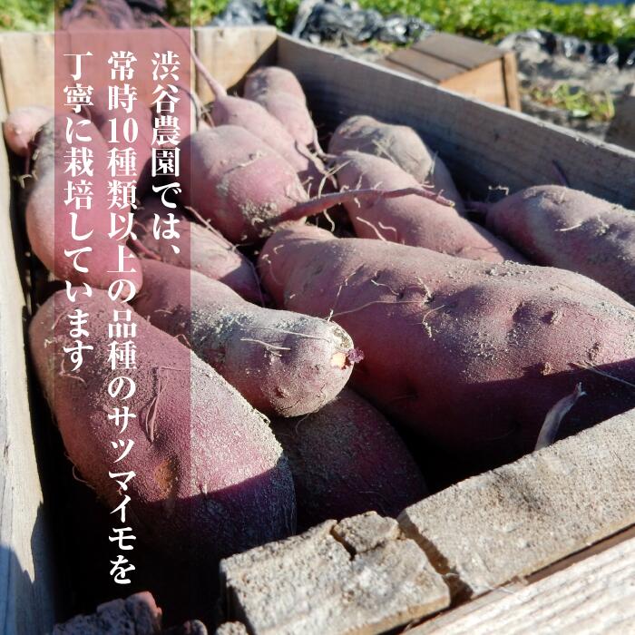 茨城県行方市のふるさと納税 【2025年11月より順次発送】2025年度産 いろんなさつまいも食べ比べセット 約4.5kg(5～8品種)|さつまいも サツマイモ いも 芋 食べ比べ 茨城県 行方市（BZ-18）