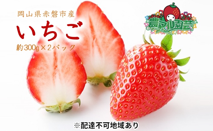 yRԔ֎sz 2026N s\ 300g×2pbN nI C`S  t[c ʕ R Ԕ֎sY _}| _ ʕ