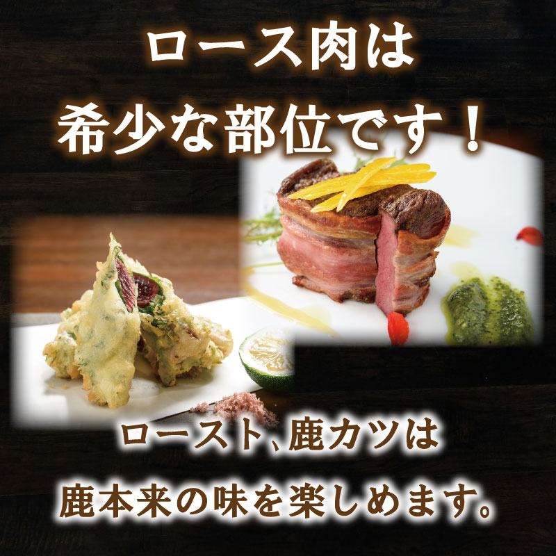 愛南ジビエ 鹿 モモ肉 500g ロース肉 500g セット