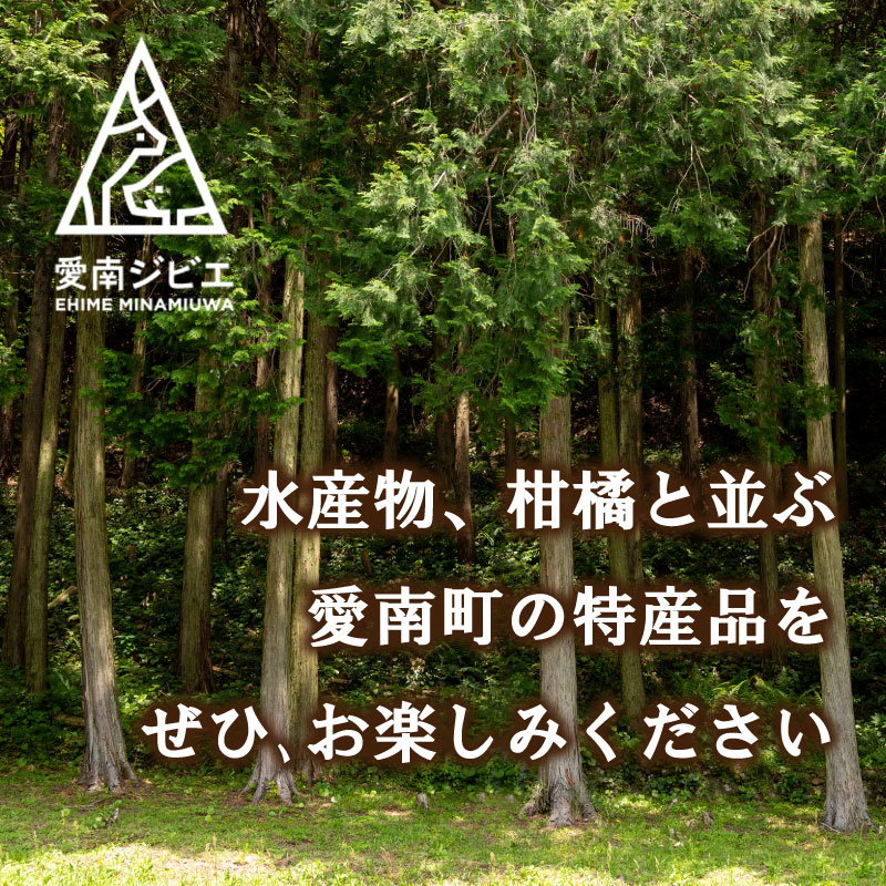 愛南ジビエ 鹿 モモ肉 500g ロース肉 500g セット