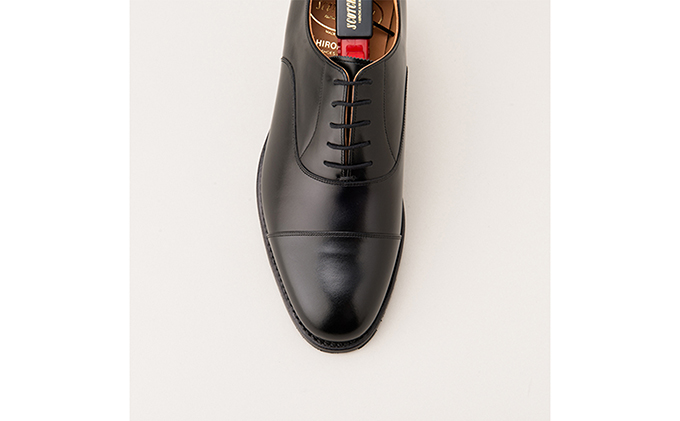 スコッチグレイン　シャインオアレイン　ストレートチップ　ビジネスシューズ　撥水 シャインオアレインIV │ スコッチグレイン SCOTCH GRAIN