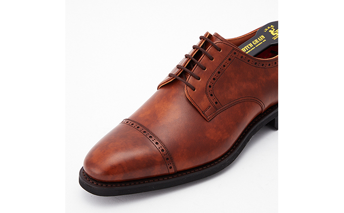 スコッチグレイン 紳士靴 「シャインオアレインIV」 NO.2773BR メンズ 靴 シューズ ビジネス ビジネスシューズ  ファッション 仕事用 パーティー フォーマル 