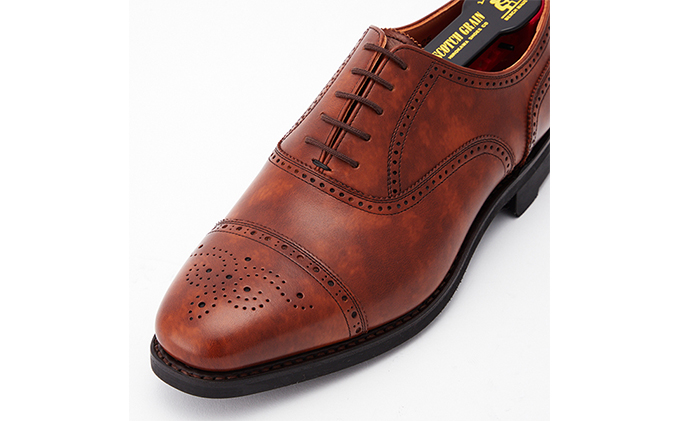 スコッチグレイン 紳士靴 「シャインオアレインIII」 NO.2720BR メンズ 靴 シューズ ビジネス ビジネスシューズ ファッション 仕事用 パーティー フォーマル 