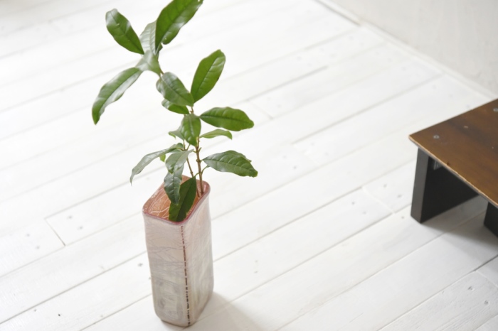 Hiwairoフラワーベース　赤　花器　花瓶　高さ21cm×9cm×6cm〈花器 花瓶 工芸品 雑貨 日用品 シンプル 上品 透明度 光彩 おしゃれ ガラス〉 