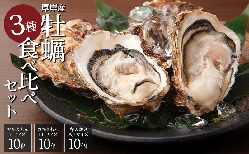 【北海道厚岸町】北海道 牡蠣 3種 食べ比べ セット 厚岸オイスター★オールスターズ 生食 生牡蠣 貝付き牡蠣 貝 海鮮 魚介類 殻付き牡蠣 カキ