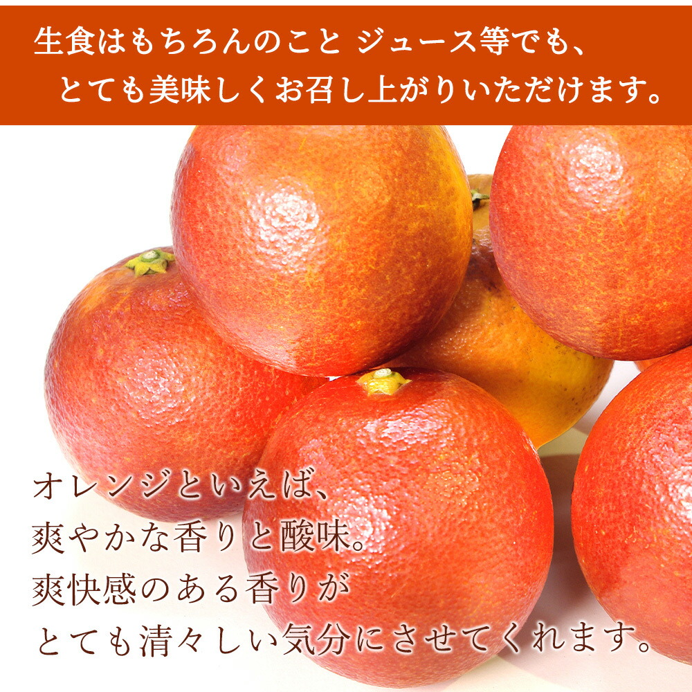 G7070_【2026年先行予約】希少な柑橘！ 紀州 有田産 ブラッドオレンジ 3kg 【訳あり・ご家庭用】