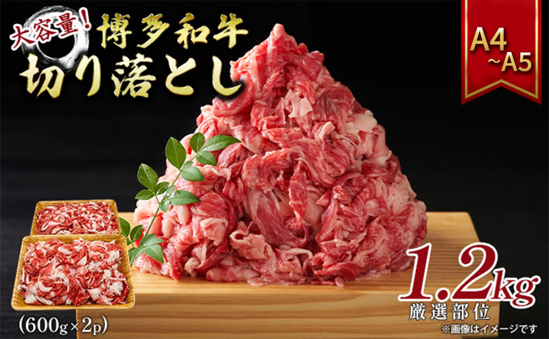 yqsza e ؂藎Ƃ 1.2kgi600g×2pj1200g A4`A5 zsF