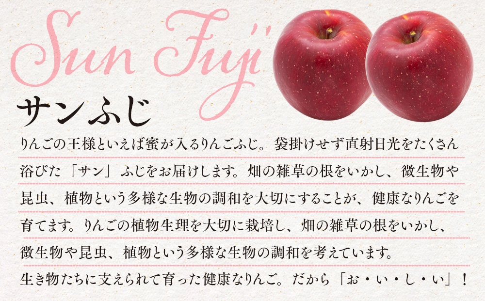 本州、四国宛配送限定　信州産フジりんご　約15キロ 自家用サンふじ 15kg（モミ殻入り） - 信州くだもの村富永農園