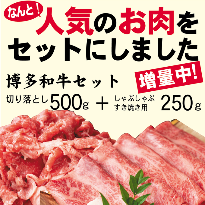 数量限定 博多和牛 A4～A5 しゃぶしゃぶ すき焼き 750g セット（スライス 250g・切り落とし 500g）配送不可：離島 