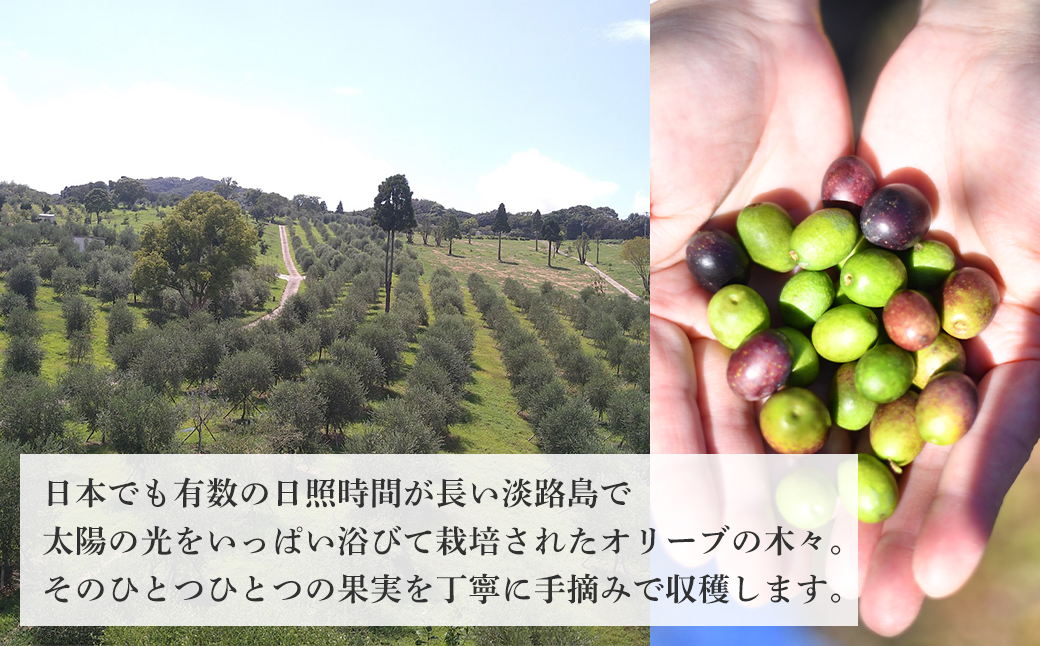 「Virgin Valley 淡路阿利布」182ｇ（エキストラバージンオリーブオイル）【2024年度産】