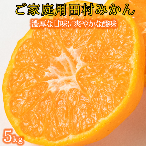 【ご家庭用訳あり】田村みかん ５ｋｇ◇｜ 有田 紀伊 ふるさと納税 ミカン｜ 蜜柑 柑橘 果物 フルーツ 糖度 甘い 濃厚 コク ジューシー 先行予約 みかん 国産 産地直送 人気 美浜町 ※2025年11月下旬～2026年1月下旬頃に順次発送予定
