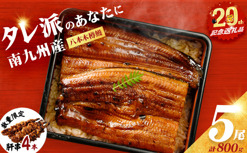 [志布志市制20周年記念][数量限定]国産 八本木樽鰻の蒲焼(160g以上×5尾) うなぎ肝串4本セット b5-192-12-km