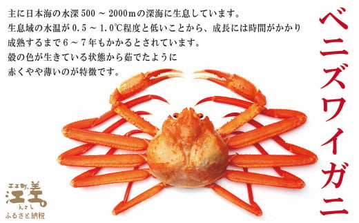 北海道江差町のふるさと納税 ＼配送時期指定可／『北海道北前蟹』肩付き脚 4肩 約1kg（殻付き）　北海道日本海産紅ずわいがに　カニかご漁師直販！厳格な鮮度管理で甘くてジューシーな本場の味をお届け　丁寧に茹であげ急速冷凍　解凍後すぐに食べれる　新鮮ボイルかに脚　焼き蟹　国産　かに足　北海道産べにずわいがに