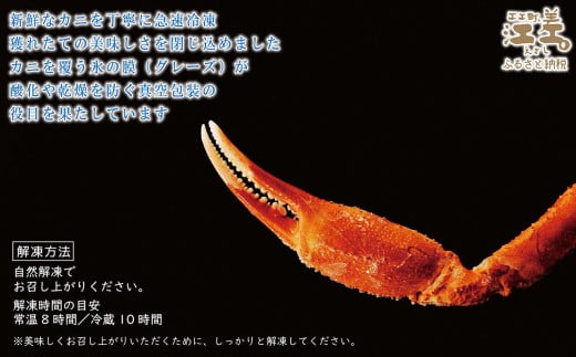 北海道江差町のふるさと納税 ＼配送時期指定可／『北海道北前蟹』肩付き脚 4肩 約1kg（殻付き）　北海道日本海産紅ずわいがに　カニかご漁師直販！厳格な鮮度管理で甘くてジューシーな本場の味をお届け　丁寧に茹であげ急速冷凍　解凍後すぐに食べれる　新鮮ボイルかに脚　焼き蟹　国産　かに足　北海道産べにずわいがに