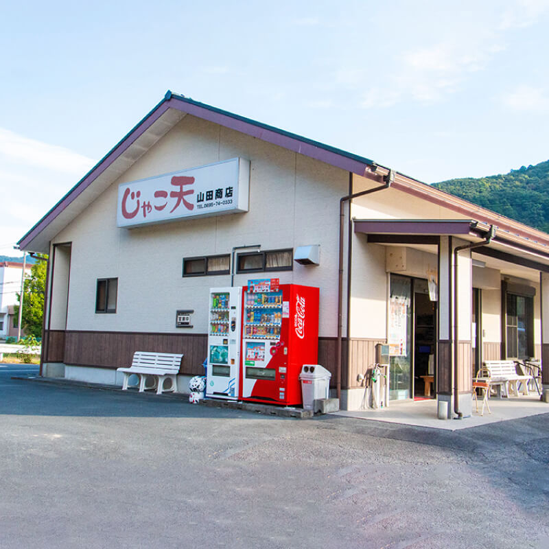 山田のじゃこ天 55枚