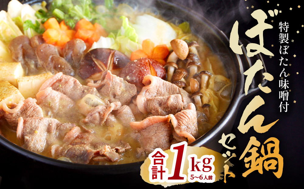 yɌszڂ Zbg 5`6lO[  WrG  ]  X ݂ ̂ ڂ񖡑X