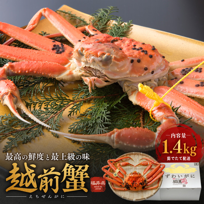 期間限定 茹で 越前ガニ 約1.4kg以上 1杯 食通もうなる本場の味をぜひ、ご堪能ください カニ 蟹 かに 茹でカニ 越前蟹 カニセット 魚介 魚介類 海鮮 海鮮セット 福井 福井県 若狭町