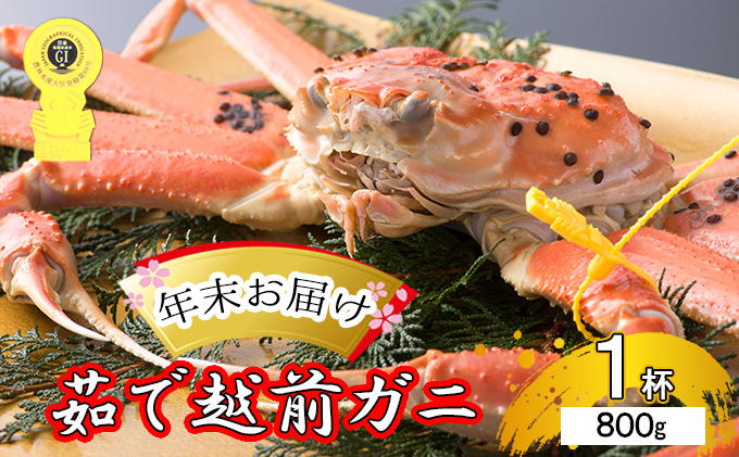茹で越前ガニ【年末お届け】食通もうなる本場の味をぜひ、ご堪能ください。約800g以上×1杯 越前がに 越前かに 越前カニ ずわいがに かに カニ ボイルガニ 蟹 