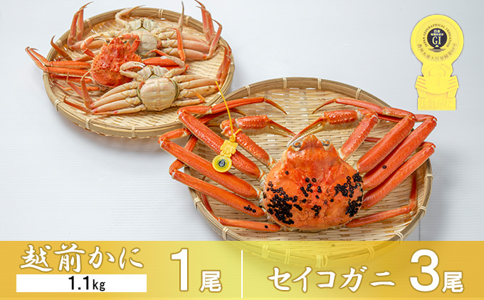茹で越前ガニ【期間限定】食通もうなる本場の味をぜひ、ご堪能ください。セイコガニセット 約1.1kg＋セイコガニ3杯 越前がに 越前かに 越前カニ カニ ボイルガニ 蟹 