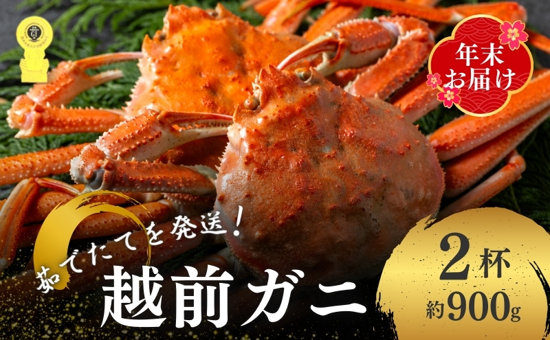 【福井県若狭町】茹で越前ガニ【年末お届け】食通もうなる本場の味をぜひ、ご堪能ください。約900g 2尾セット 越前がに 越前かに 越前カニ カニ ボイルガニ 蟹