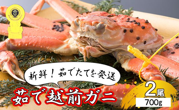 【福井県若狭町】茹で越前ガニ【期間限定】食通もうなる本場の味をぜひ、ご堪能ください。約700g 2尾セット 越前がに 越前かに 越前カニ カニ ボイルガニ ずわい蟹 ずわいガニ ズワイガニ 蟹